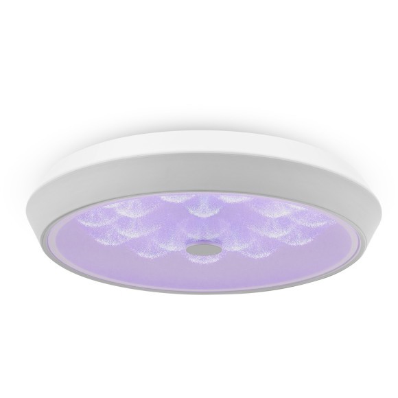 Потолочный светильник светодиодный диммируемый с пультом регулировкой цветовой температуры и яркости Cells FR10012CL-L24W RGB Потолочный светильник светодиодный диммируемый с пультом регулировкой цветовой температуры и яркости Cells FR10012CL-L24W RGB