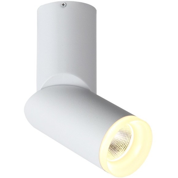 ST107.502.10 Светильник потолочный светодиодный 10W 3000K 780Lm Ra80