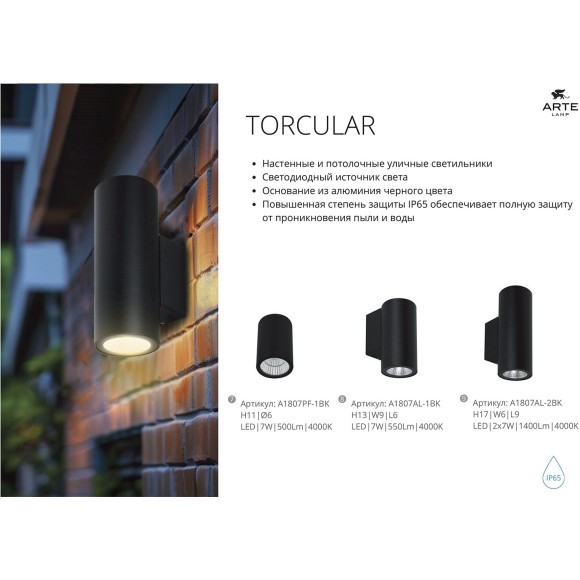 Уличный потолочный светильник LED 2700/3400/4000 1350 Lm Arte Lamp TORCULAR A1313PF-1BK