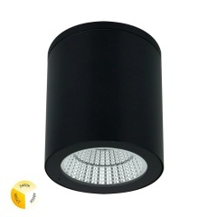 Уличный потолочный светильник LED 2700/3400/4000 1350 Lm Arte Lamp TORCULAR A1313PF-1BK Уличный потолочный светильник LED 2700/3400/4000 1350 Lm Arte Lamp TORCULAR A1313PF-1BK