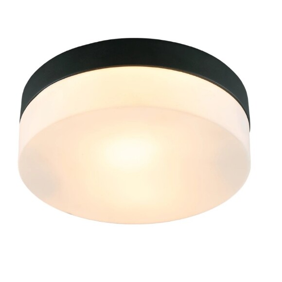 Настенно-потолочный светильник Arte Lamp A6047PL-2BK AQUA-TABLET IP44 под лампы 2xE27 60W