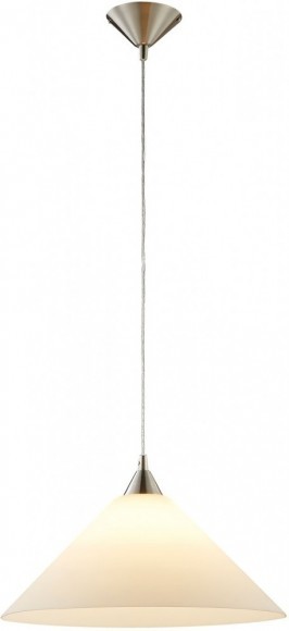 Подвесной светильник с 1 плафоном Lussole LSP-8578 CHEEKTOWAGA IP21 под лампу 1xE27 60W