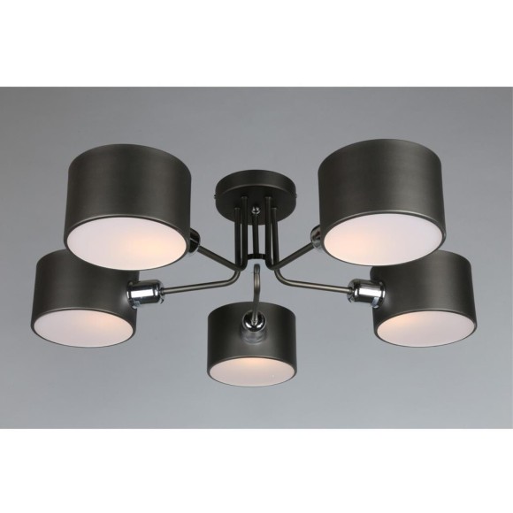 Потолочная люстра Liser OML-54507-05