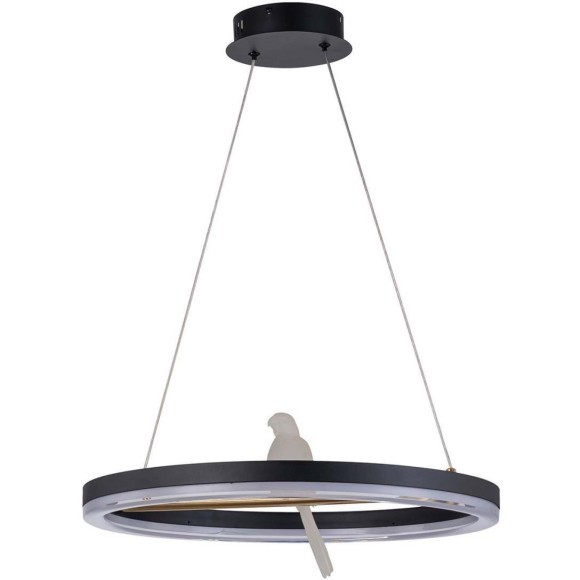 Подвесной светильник Bardy 4654-1P