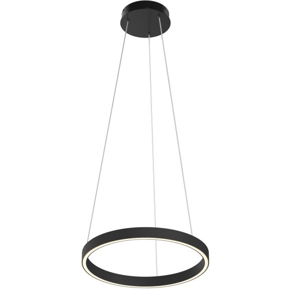 Подвесной светильник Maytoni MOD058PL-L22BK