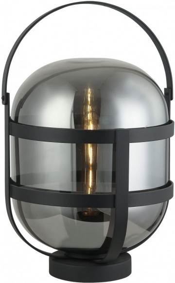 Декоративная настольная лампа Lussole LSP-0602 CLARKE IP21 под лампу 1xE27 40W