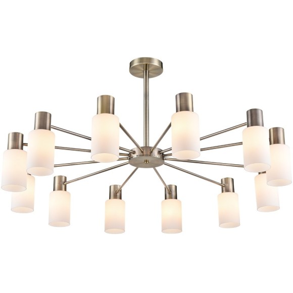 Люстра потолочная Е14 Lumion MAVE 8100/12C