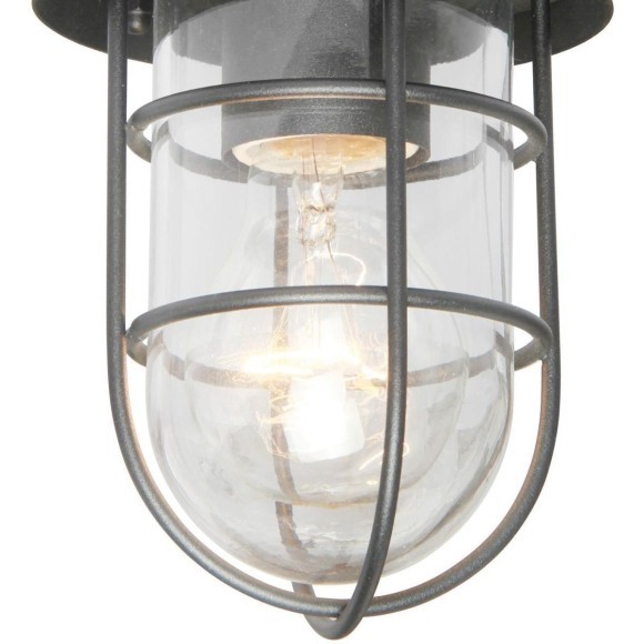 Потолочный светильник уличный Pointer 3021-1P