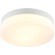 Настенно-потолочный светильник Arte Lamp A6047PL-3WH AQUA-TABLET IP44 под лампы 3xE27 60W