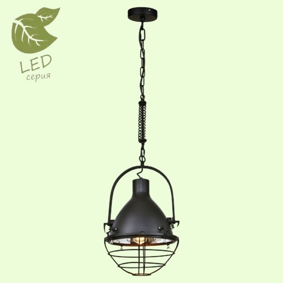 Подвесной светильник с 1 плафоном Lussole GRLSP-9989 BUFFALO IP21 под лампу 1xE27 11W