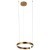 10013S Подвесной светильник LOFT IT Ring