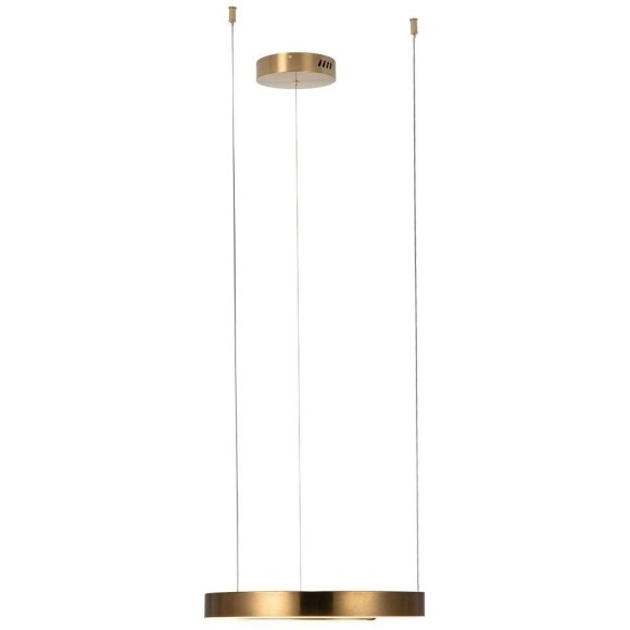 10013S Подвесной светильник LOFT IT Ring