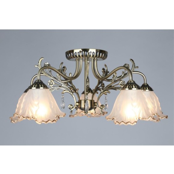 Потолочная люстра Petrara OML-54807-05