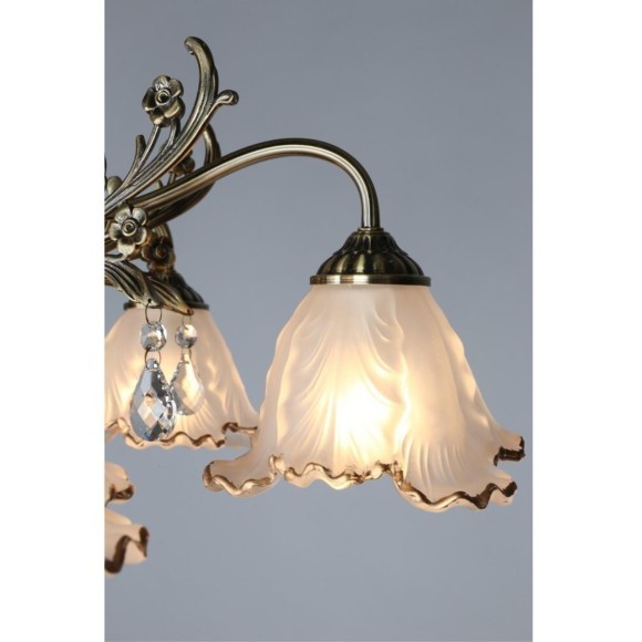 Потолочная люстра Petrara OML-54807-05