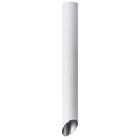 Точечный накладной светильник Arte Lamp PILON-SILVER A1537PL-1WH