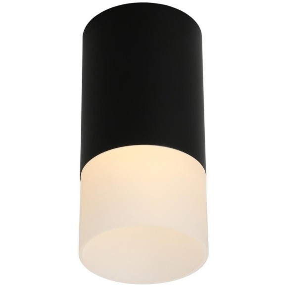 Точечный светильник 100 OML-100619-01