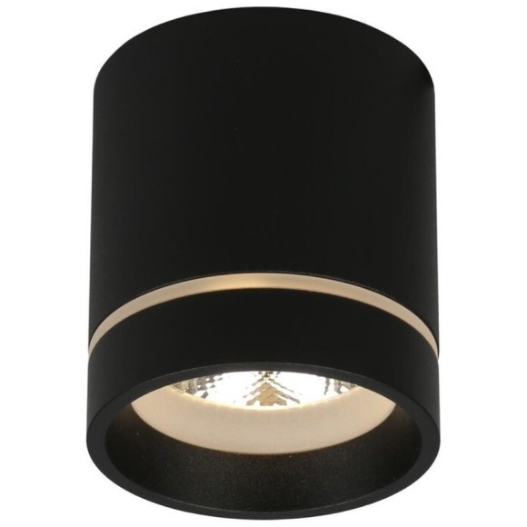 Потолочный спот APL.0043.19.05