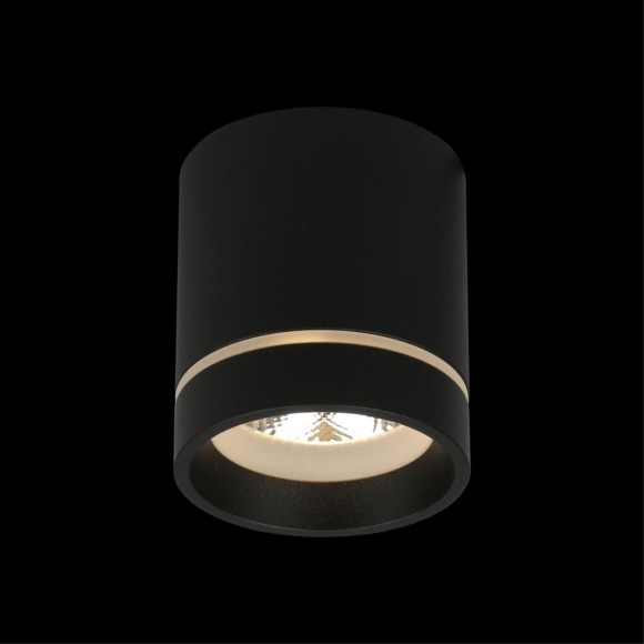 Потолочный спот APL.0043.19.05