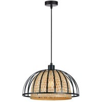 Подвесной светильник Arte Lamp WOODSTOCK A7071SP-1BK