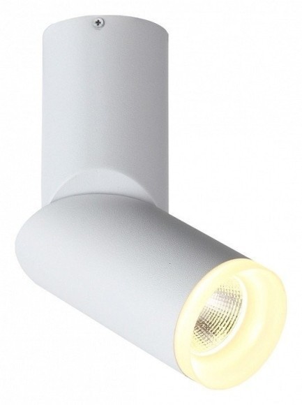 Накладной потолочный светильник ST Luce ST107.502.10 Tortelle светодиодный LED 10W