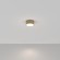 Настенно-потолочный светильник Maytoni C032CL-L12MG4K Zon светодиодный LED 12W