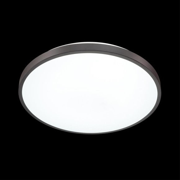 Настенно-потолочный светильник Sonex 3012/DL SMALLI IP43 светодиодный LED 48W