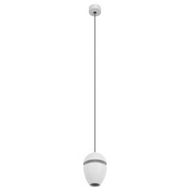 10336 White Подвесной светильник LOFT IT Viterbo