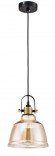 Подвесной светильник с 1 плафоном Maytoni T163-11-R Irving под лампу 1xE27 40W