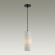 Подвесной светильник с 1 плафоном Odeon Light 5017/1 Pimpa под лампу 1xE14 40W