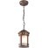 Уличный подвесной светильник Outdoor O031PL-01BR