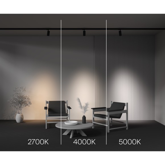 Трековый светильник Technical TR197-3-20WCCT-M-B