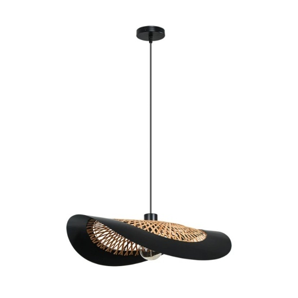 Подвесной светильник Arte Lamp WOODSTOCK A7059SP-1BK