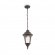 Уличный подвесной светильник Maytoni O029PL-01BZ Goiri IP44 под лампу 1xE27 60W