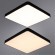 Настенно-потолочный светильник Arte Lamp A2669PL-1BK SCENA светодиодный LED 100W