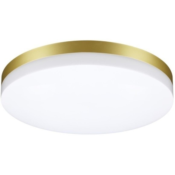 Уличный потолочный светильник Novotech 358892 OPAL IP54 светодиодный LED 40W