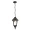 Уличный подвесной светильник Maytoni O029PL-01GN Goiri IP44 под лампу 1xE27 60W